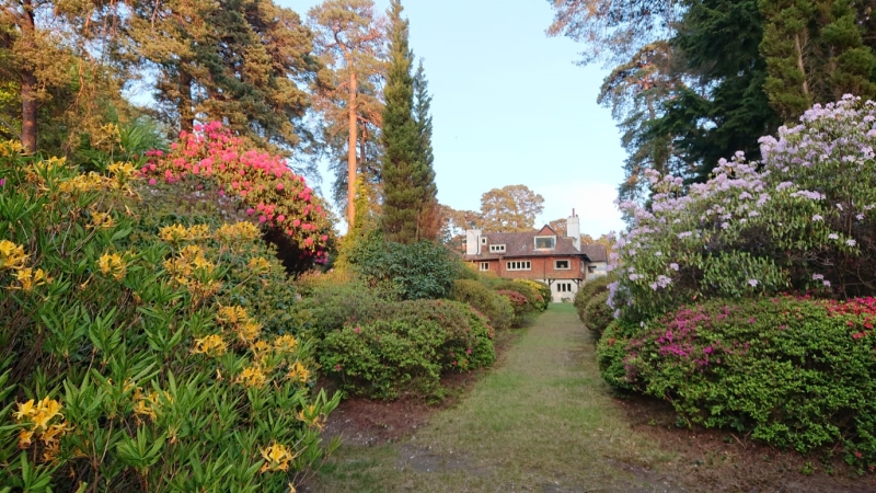 The House in the Wood